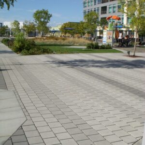 WhatsApp Image 2026 03 06 at 3.20.03 PM